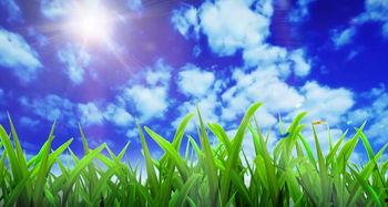 青草国产视频,探寻自然之美与生态和谐